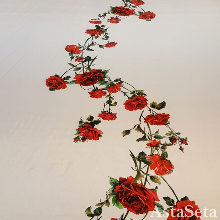 Итальянский шелк розы на белом