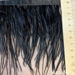 Перья страуса черного цвета